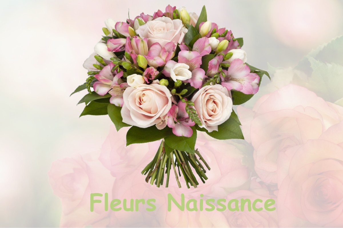 fleurs naissance FONTAINE-DE-VAUCLUSE